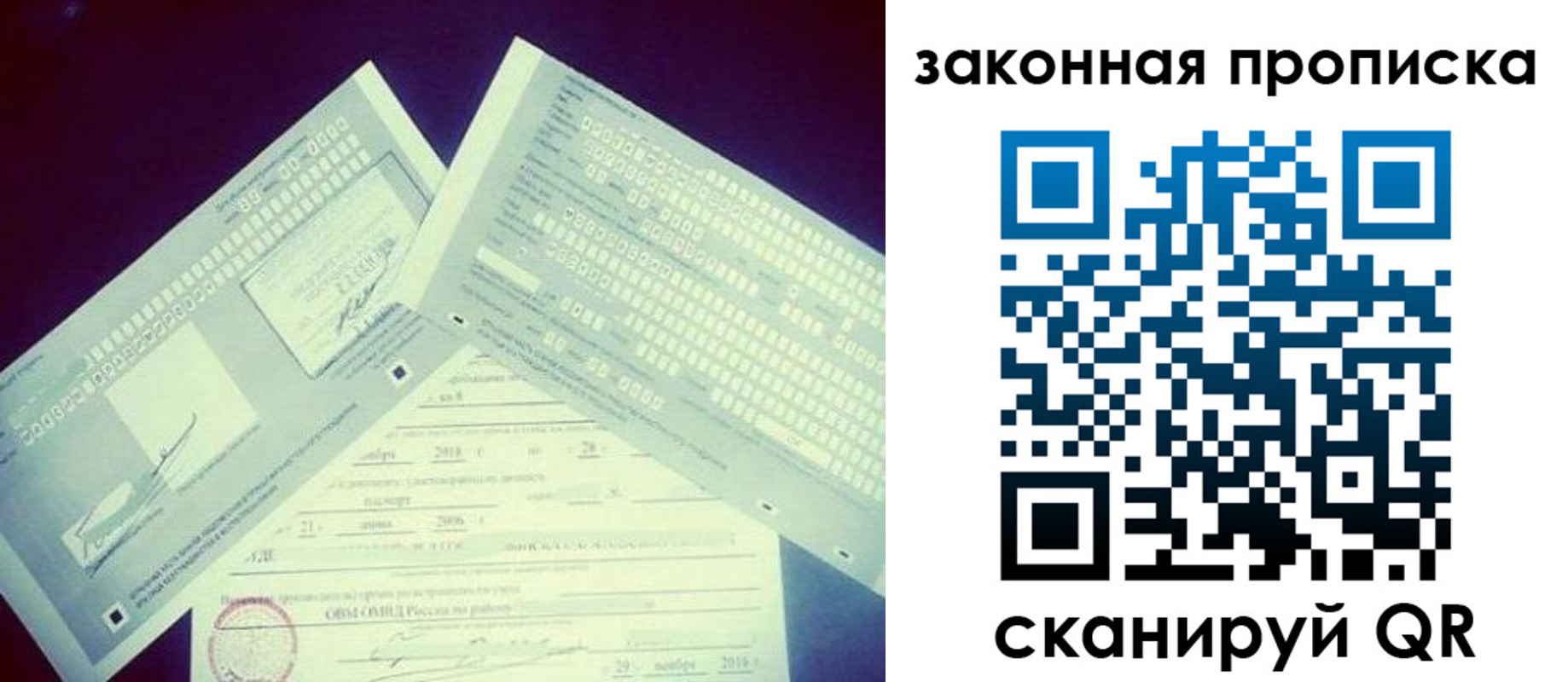 прописка поиск в Мурманской области