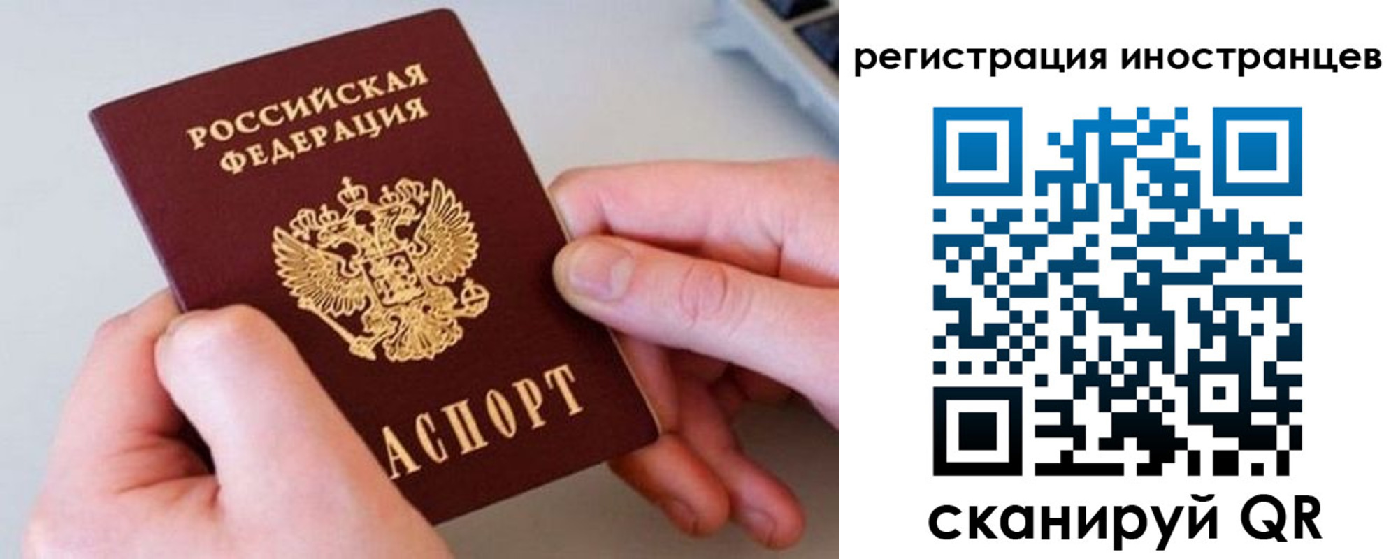 регистрация в Мурманской области